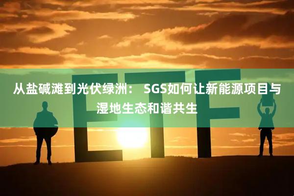 从盐碱滩到光伏绿洲： SGS如何让新能源项目与湿地生态和谐共生