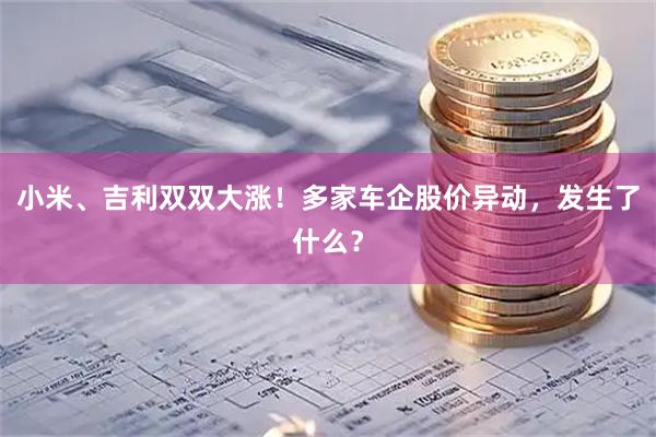 小米、吉利双双大涨！多家车企股价异动，发生了什么？